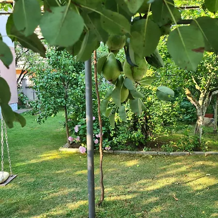 Nedim - Free Parking Appartement *