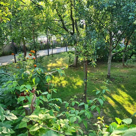 Apartmán Nedim - Free Parking Sarajevo