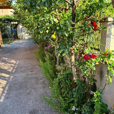 Nedim - Free Parking & Garden Near Airport