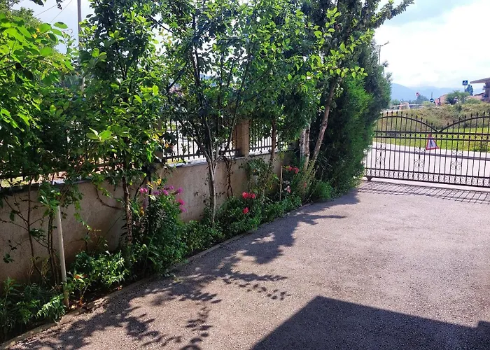 Nedim - Free Parking Saraievo