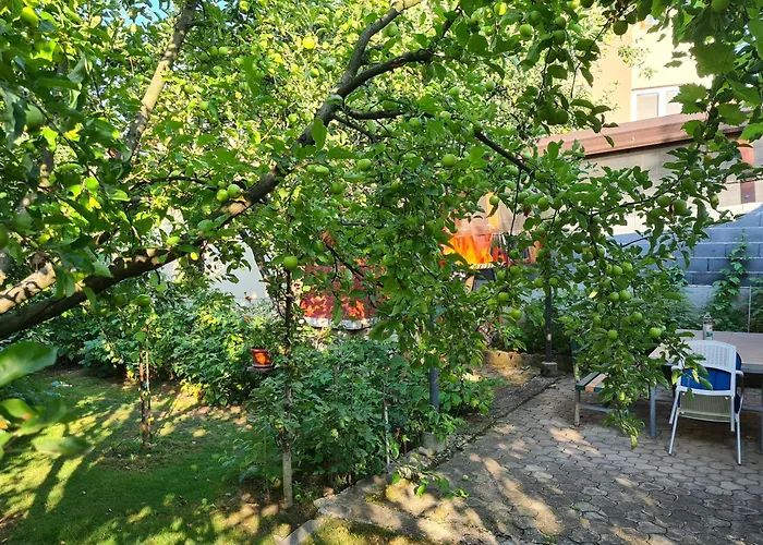 Nedim - Free Parking *