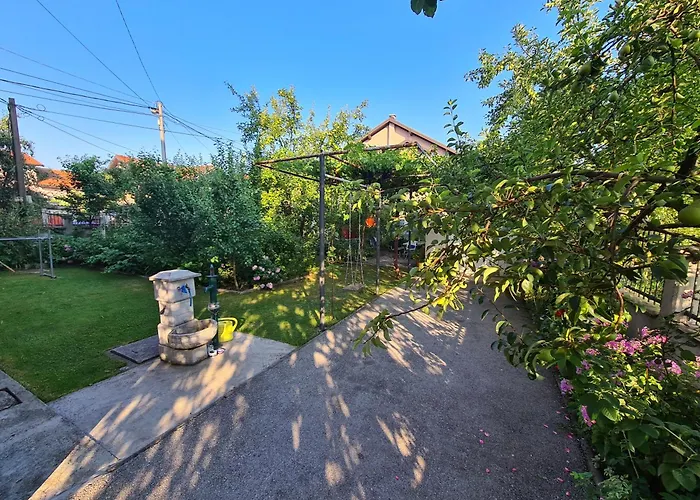 Nedim - Free Parking Saraievo