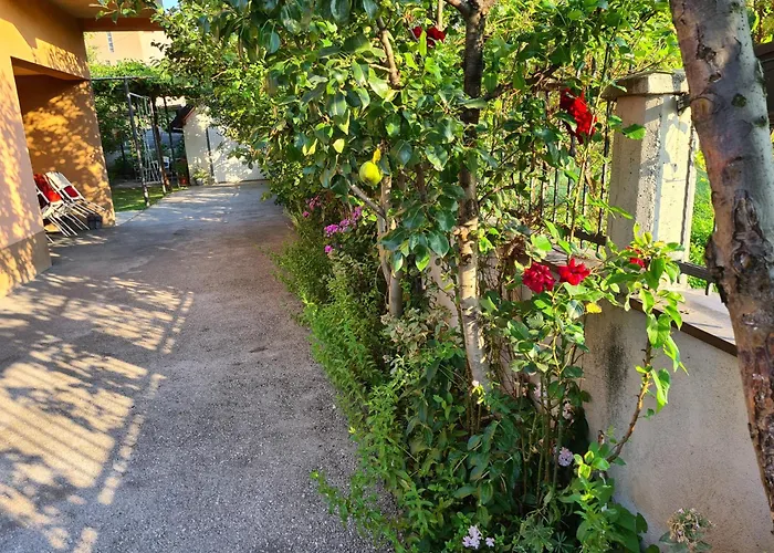 Nedim - Free Parking