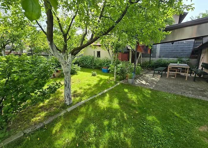 Nedim - Free Parking *