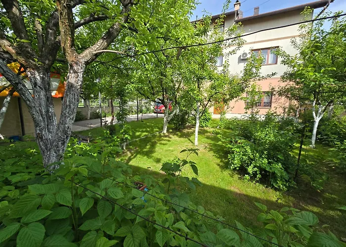 Nedim - Free Parking